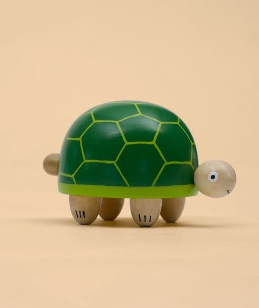 Help Me Pleeaz Tortoise